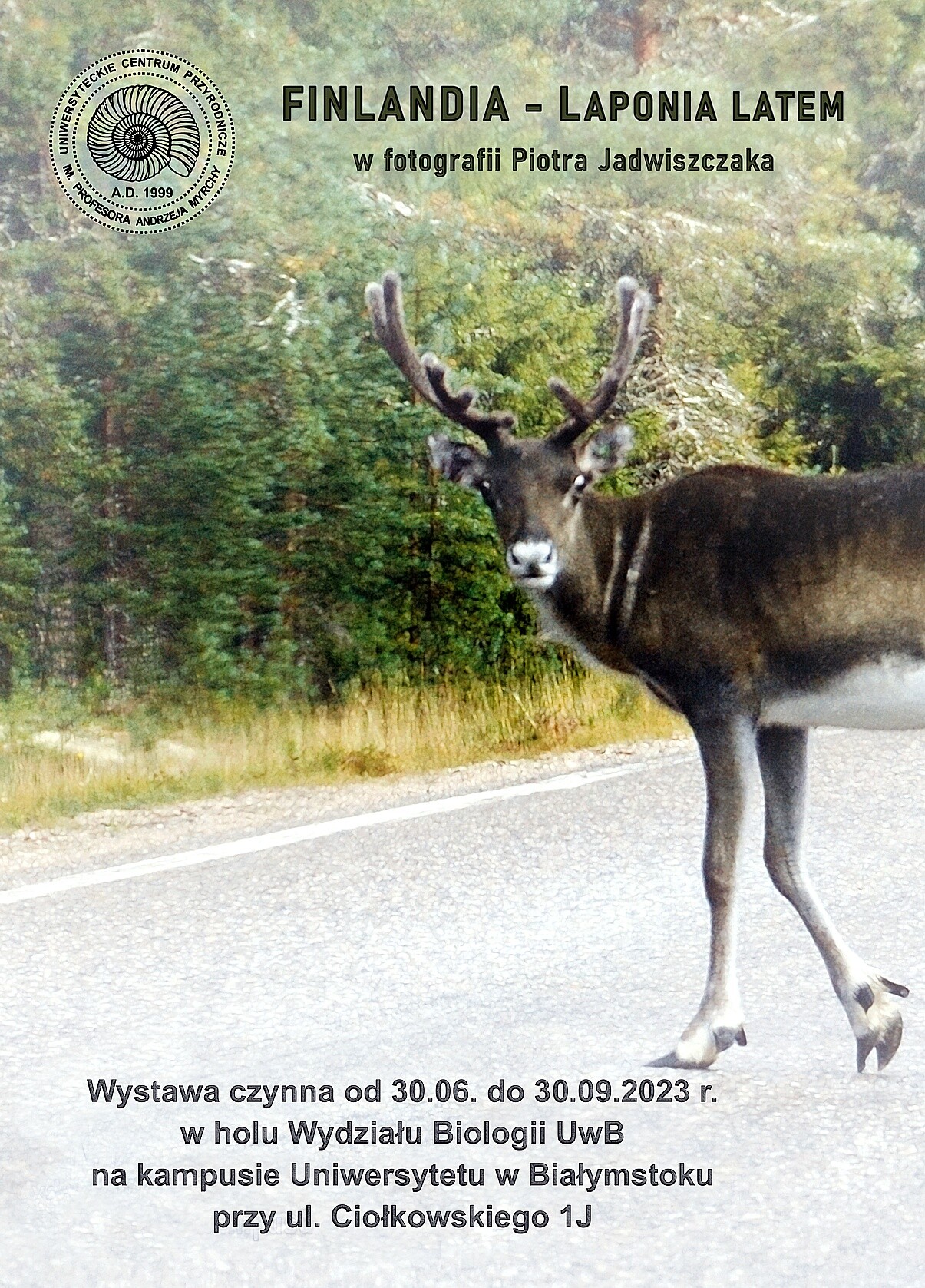 Finlandia - laponia latem - plakat