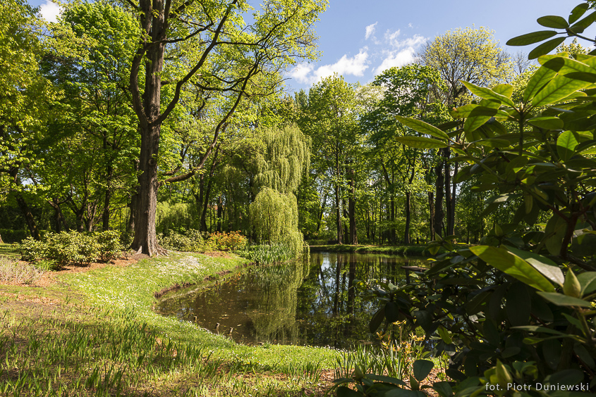 Miasto Białystok