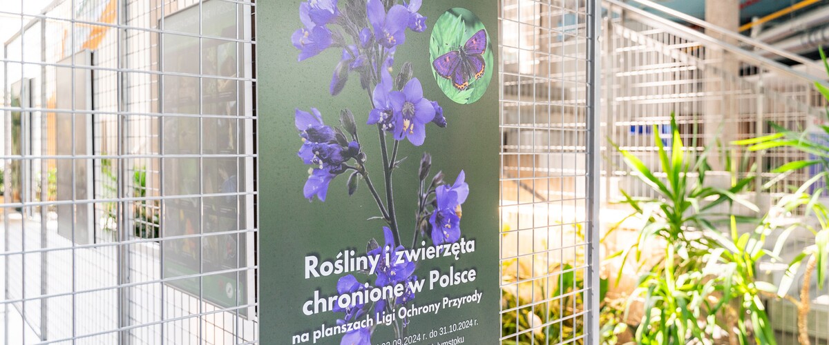 wystawa: rośliny i zwierzęta chronione w Polsce