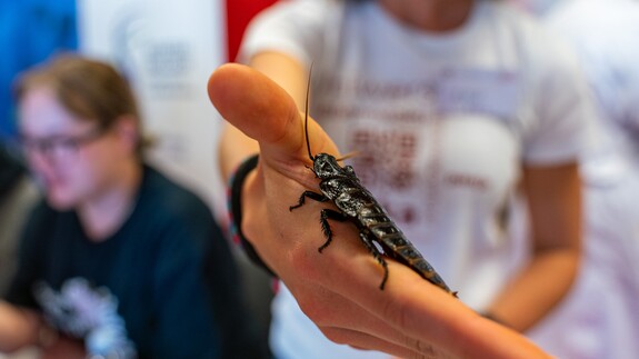 Podlaski Festiwal Nauki i Sztuki