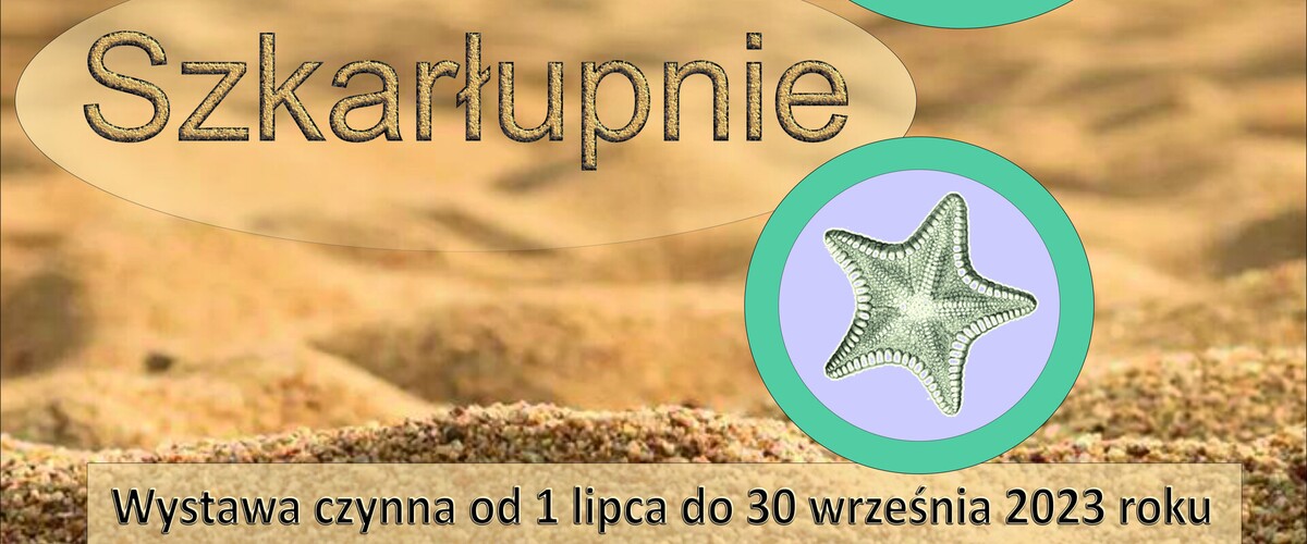 Szkarłupnie - wystawa na Wydziale Biologii UwB - grafika