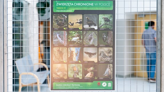 wystawa: rośliny i zwierzęta chronione w Polsce