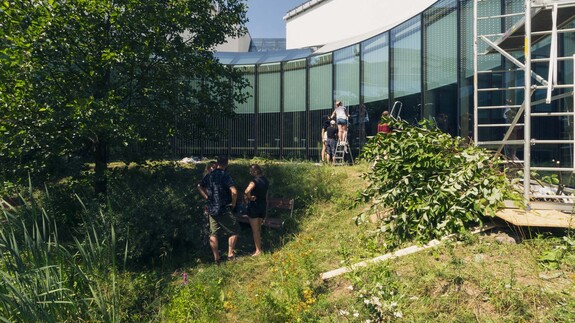 Przeszklone powierzchnie w kampusie UwB przyjazne ptakom