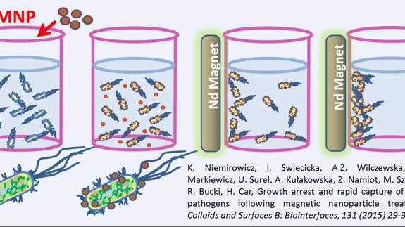 Kolejny patent dla pracowników Wydziału Biologiczno-Chemicznego UwB