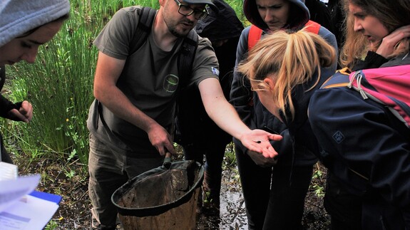 Biolodzy z UwB w akcji. Stawiają płotki przy drogach, by ratować płazy – bardzo ważną i bardzo starą grupę kręgowców