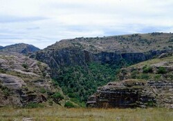 Madagaskar - ginący świat - roślinność Madagaskaru